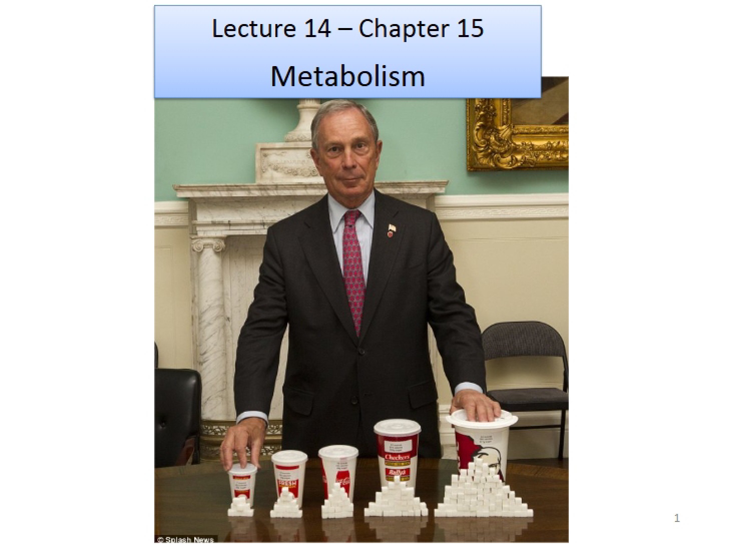 Spring 2015 Session 14