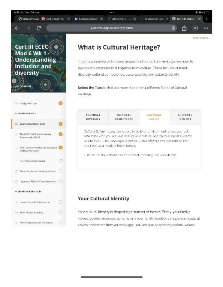 Understanding Inclusion and Diversity Overview