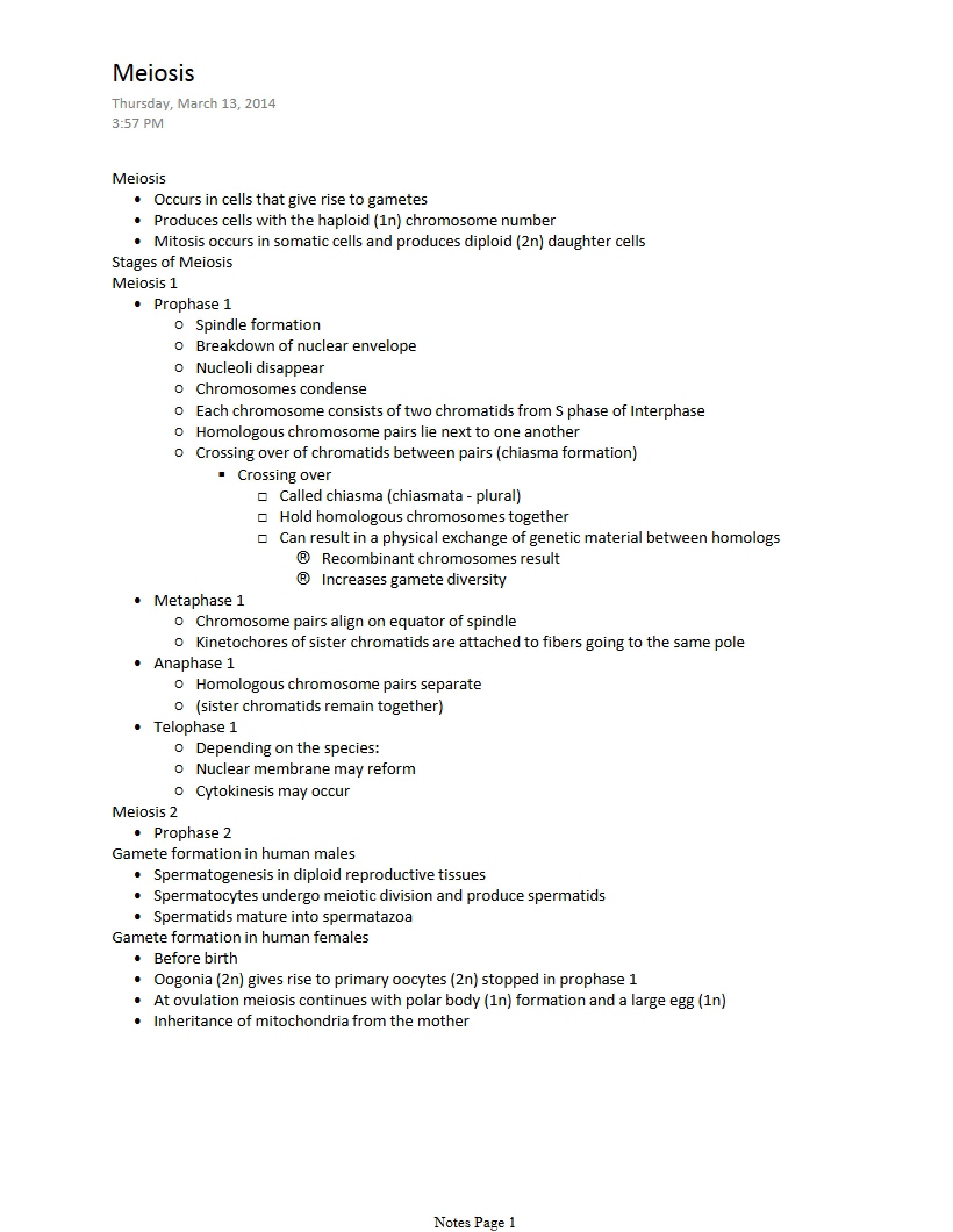 Meiosis Process