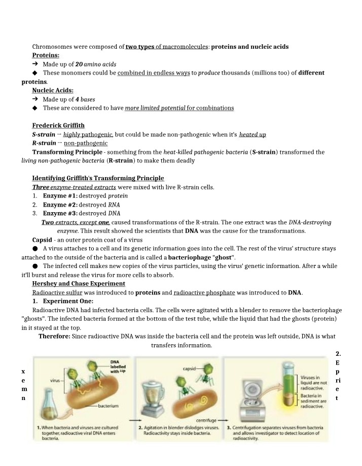 Chromosome Structure and Function - Proteins and Nucleic Acids