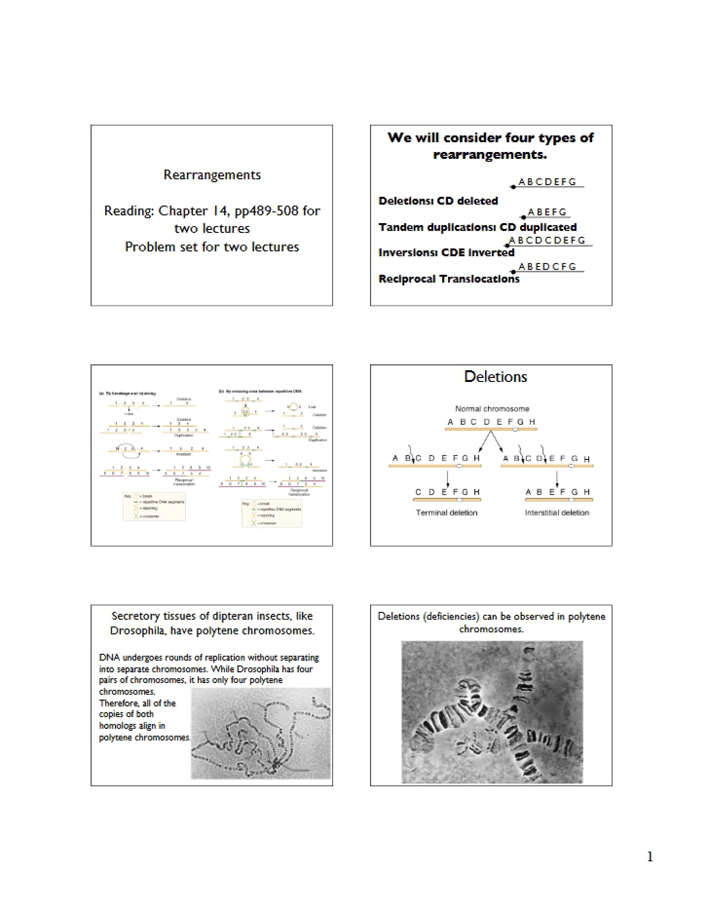 Rearrangement Mechanisms