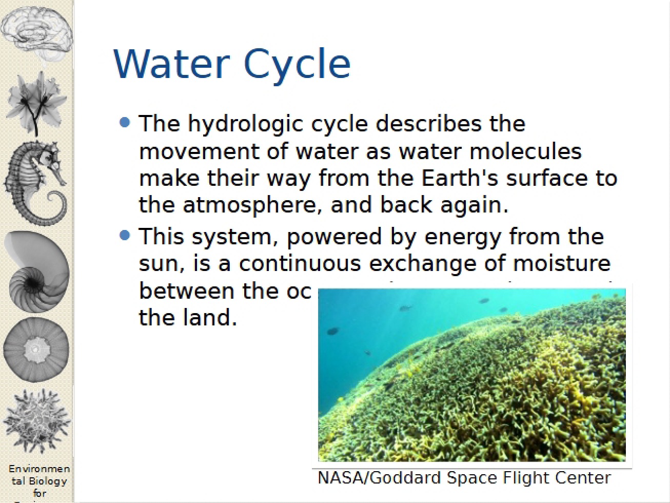 Environmental Biology for Engineers Lecture Eight