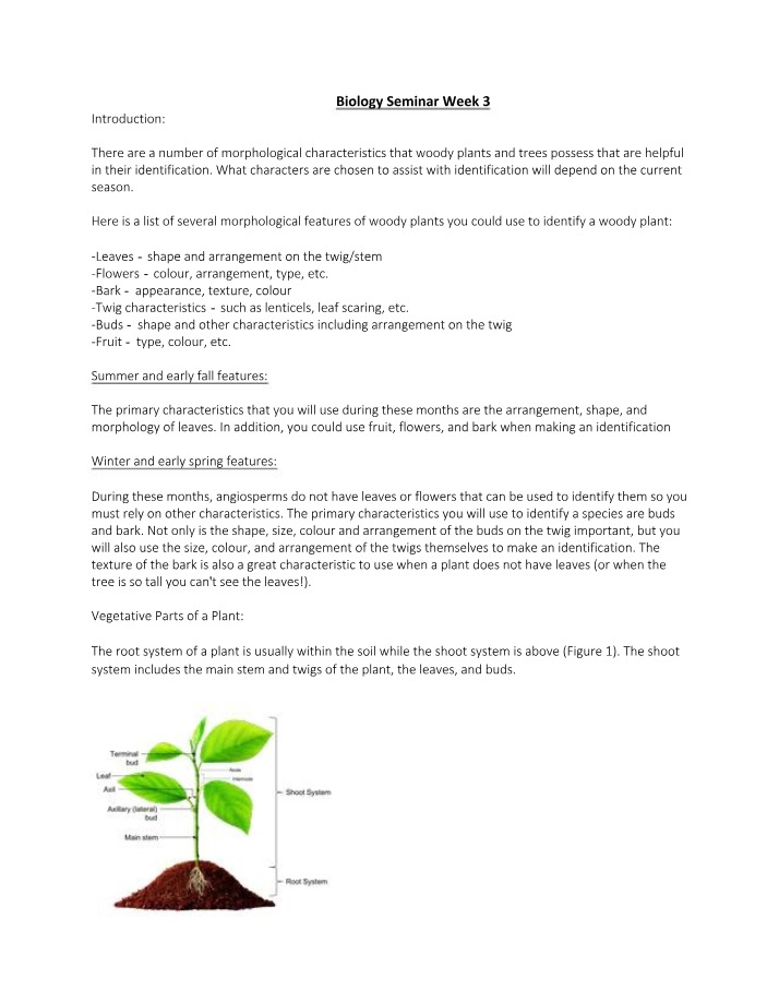 Week 3 Biology Seminar