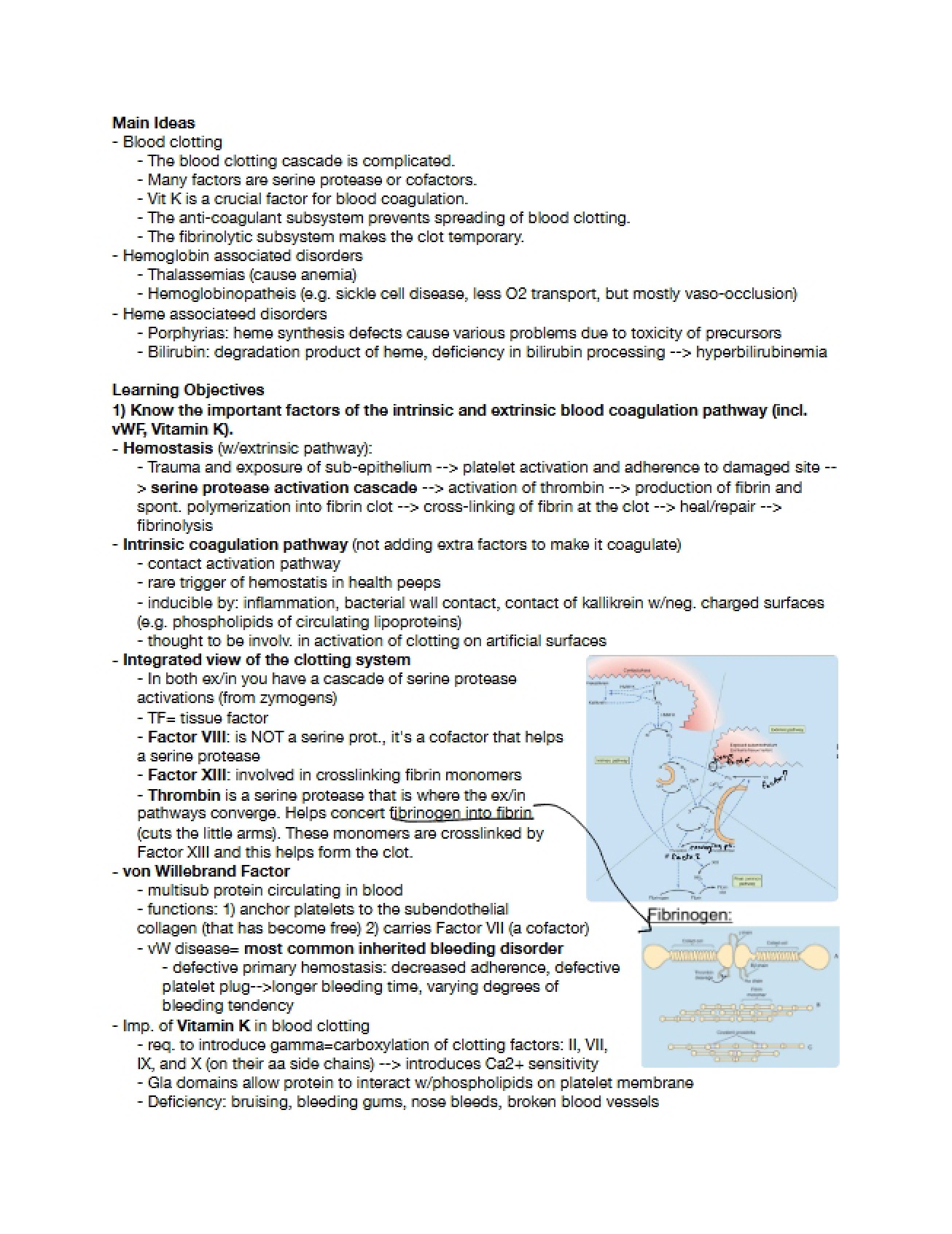 Lecture Review Anemia, Sickle Cell, and Blood Clotting