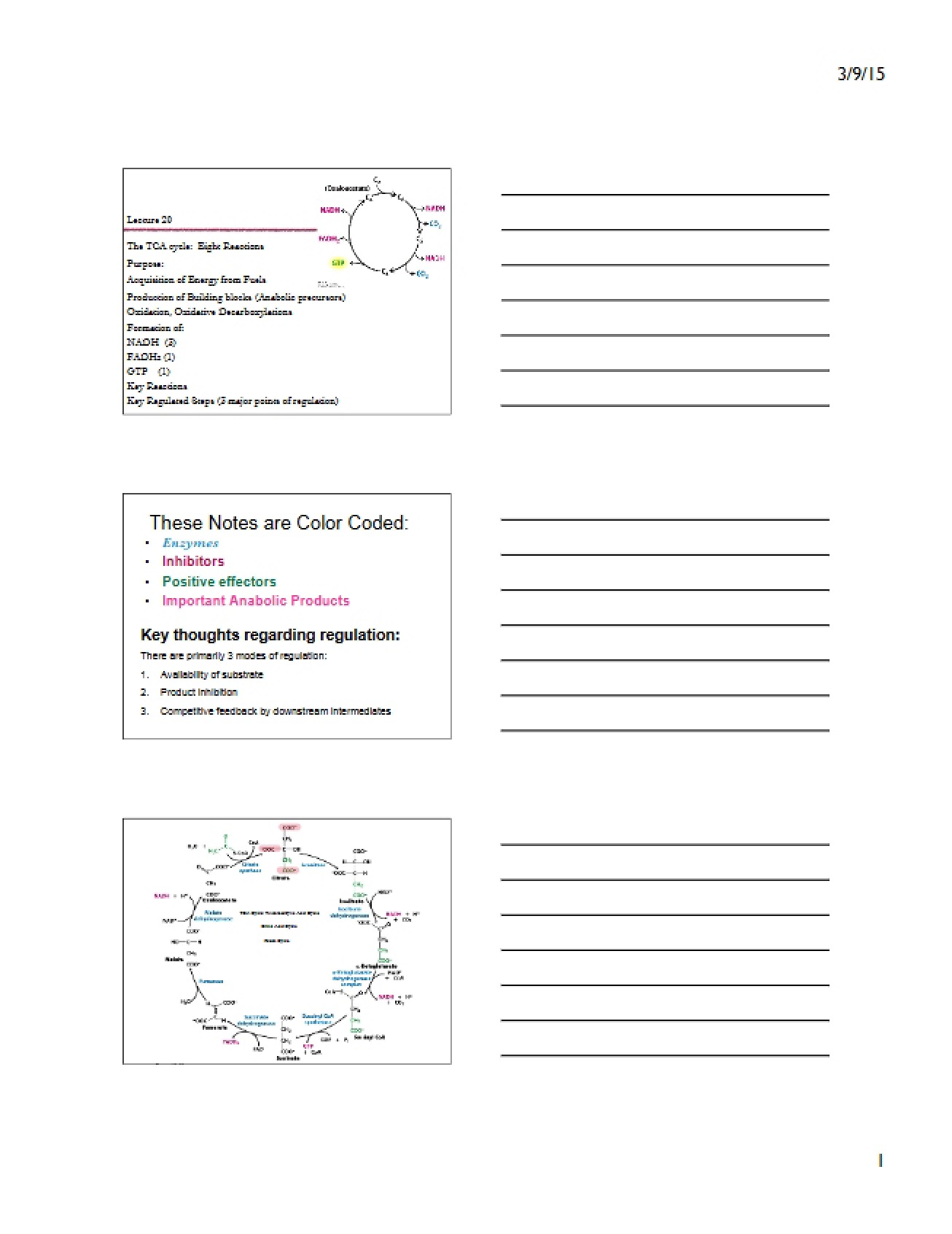 TCA Lecture Twenty Notes