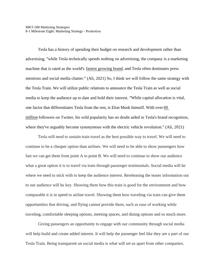 Marketing Strategy and Promotion Plan for Tesla Train