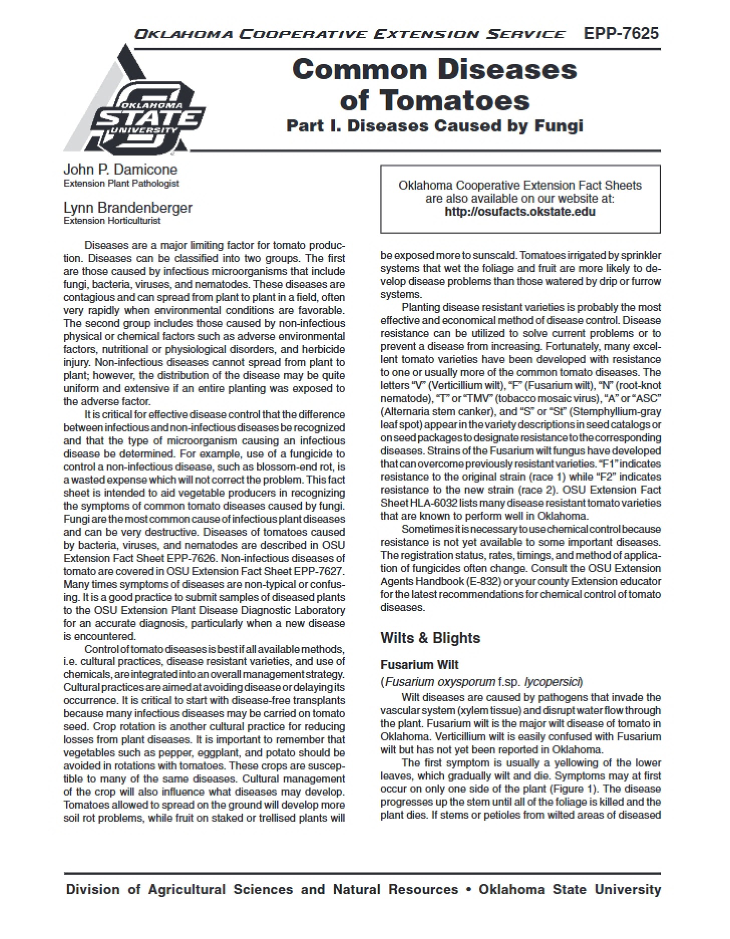 Pathology of Tomatoes Common Diseases