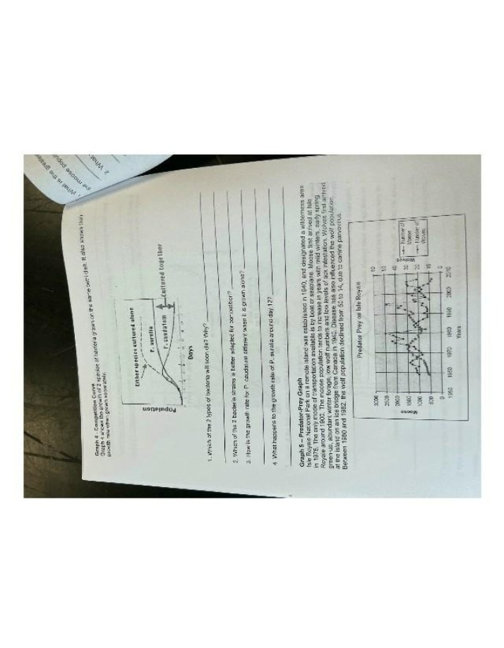 Graphs for Predator-Prey and Bacteria Competition