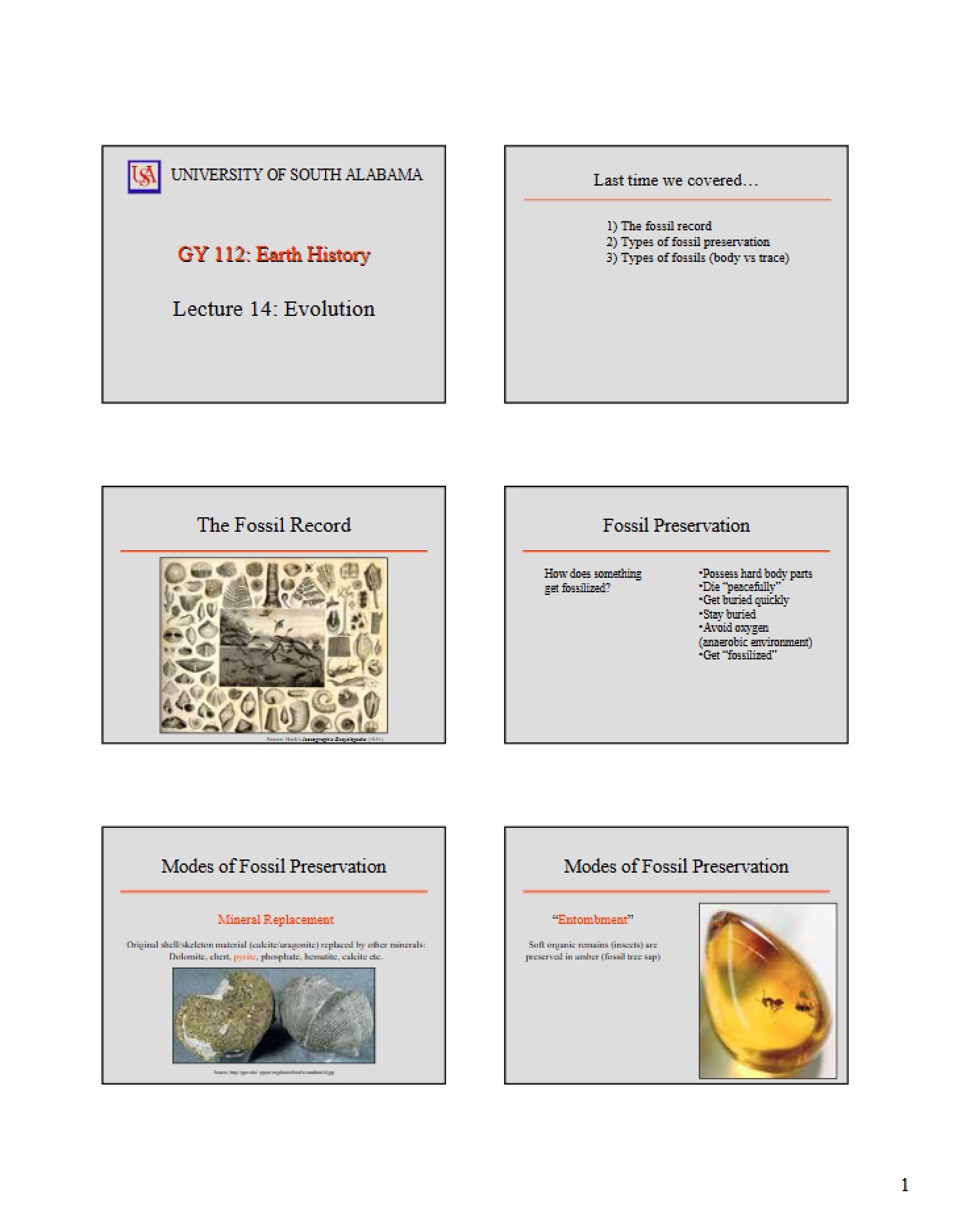 Evolution Lecture Concepts