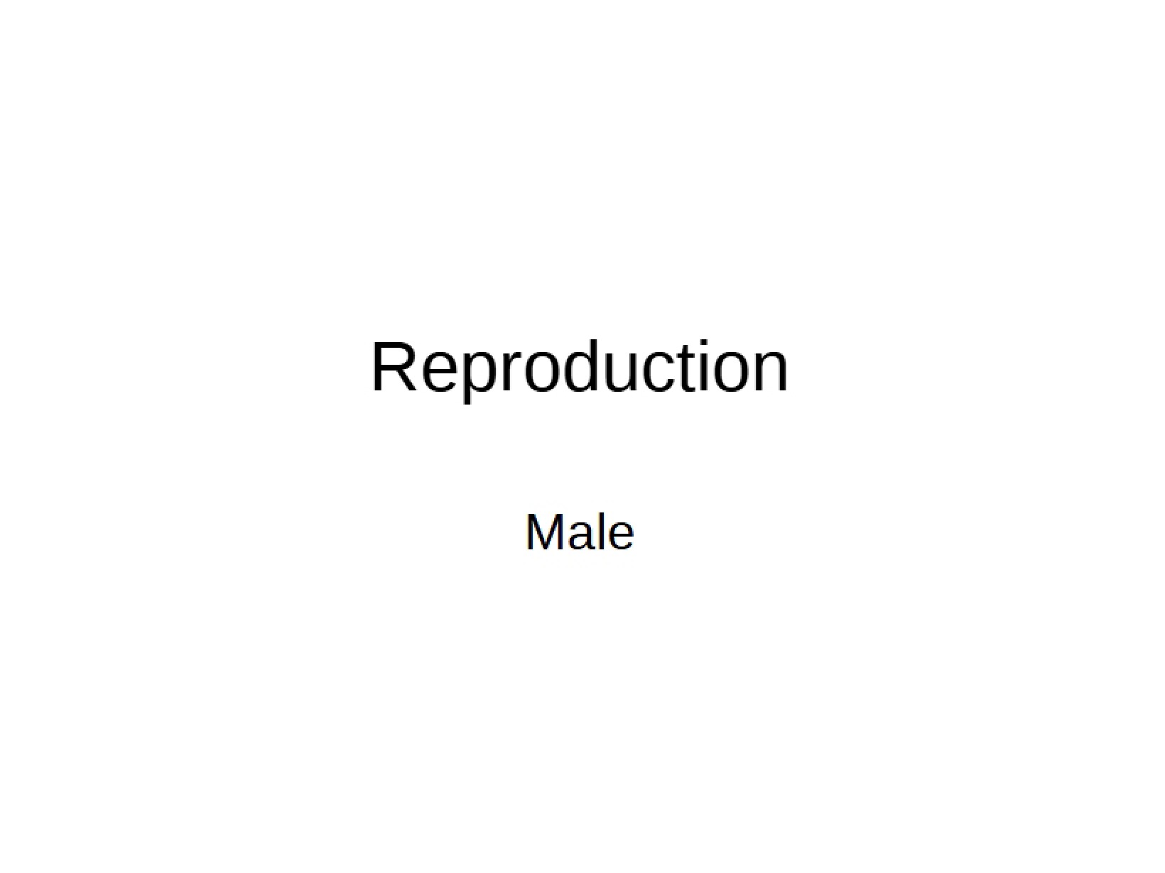 Reproduction in Animals