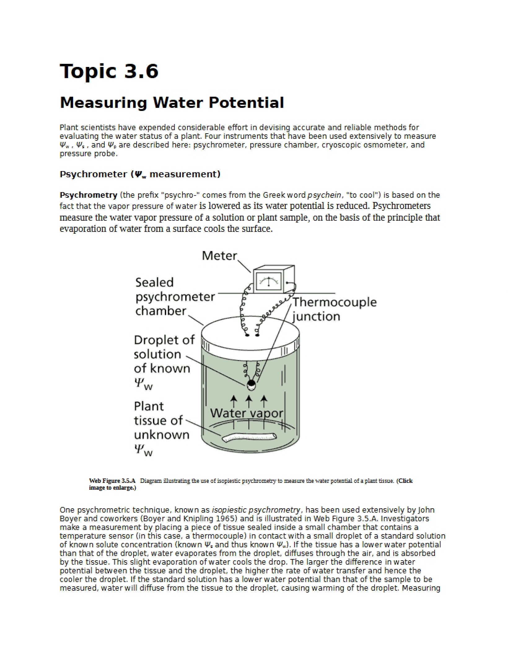 Water Potential Measurement