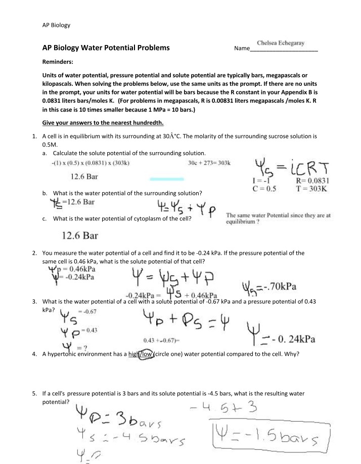 Water Potential Practice Problems