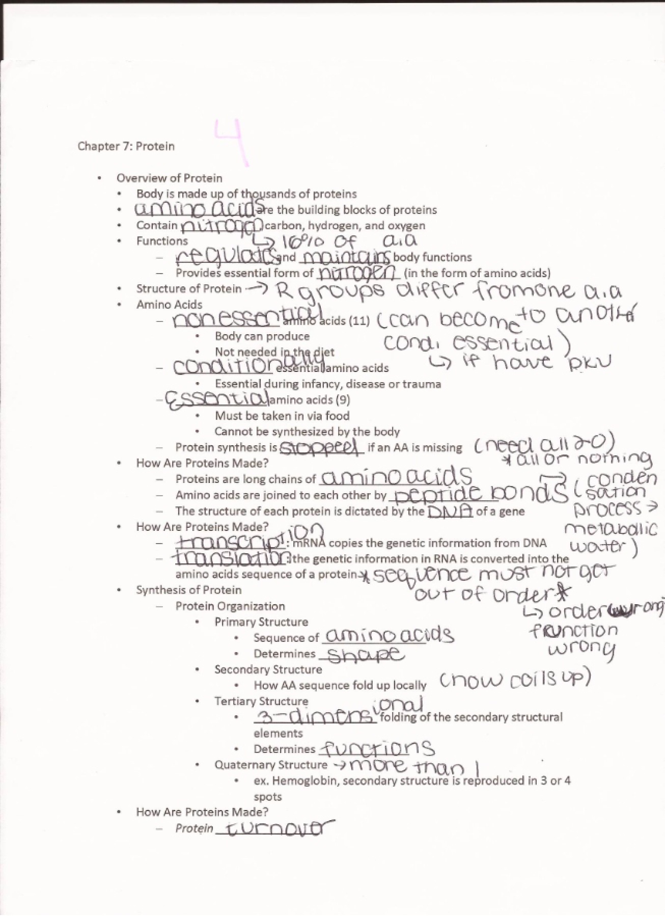 Nutrition Chapter 07