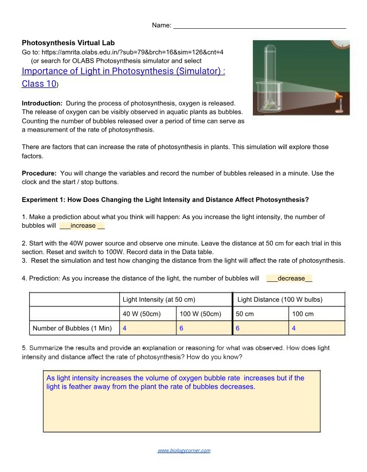 Virtual Lab on Photosynthesis
