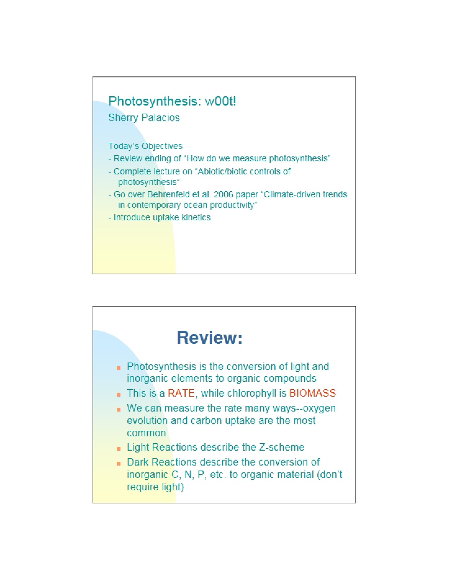 Photosynthesis Process