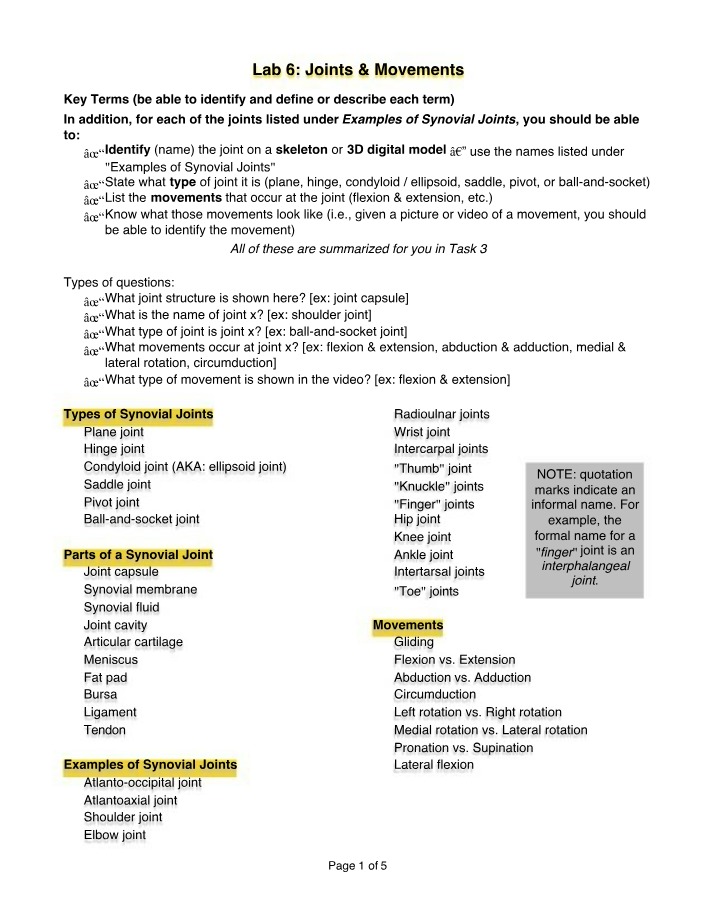 Lab 6 - Joints and Movements