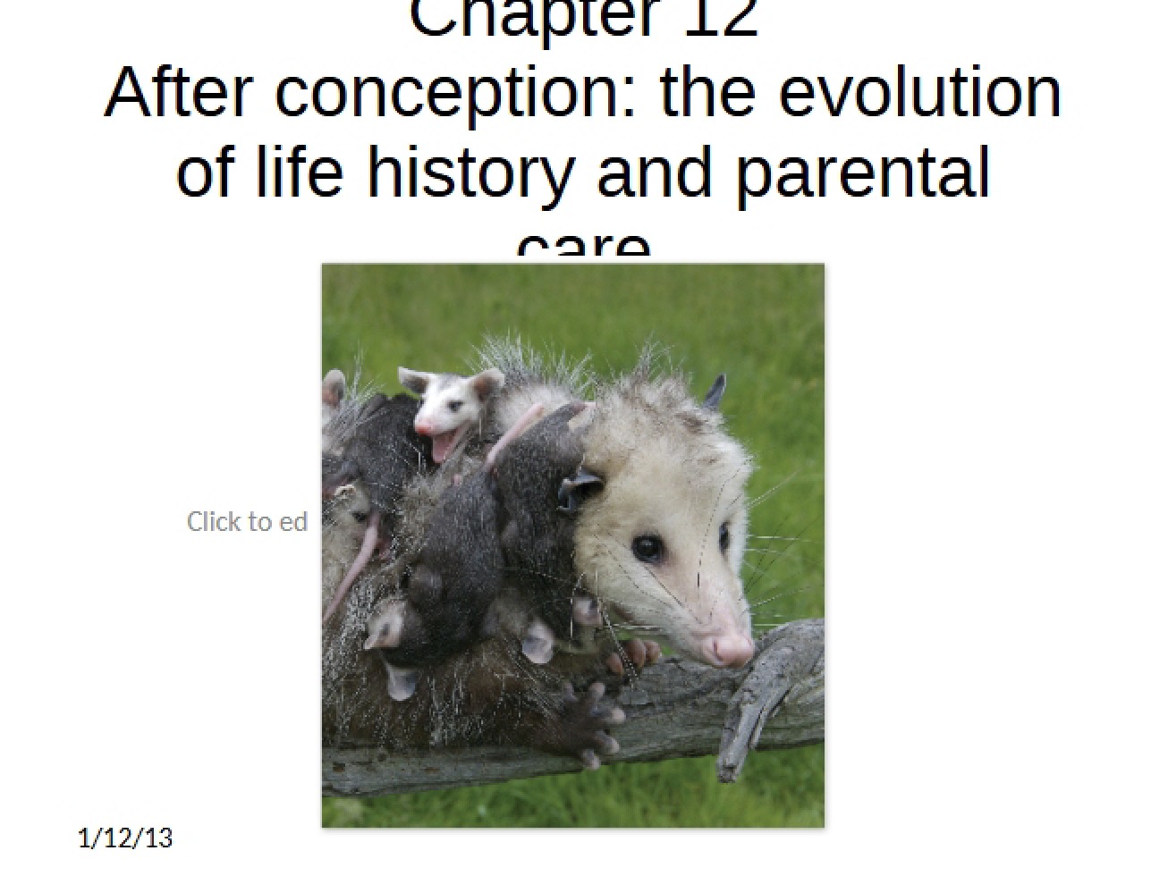 Chapter Twelve Through Time