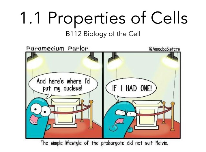 Notes and Worksheet on Cell Properties and Functions