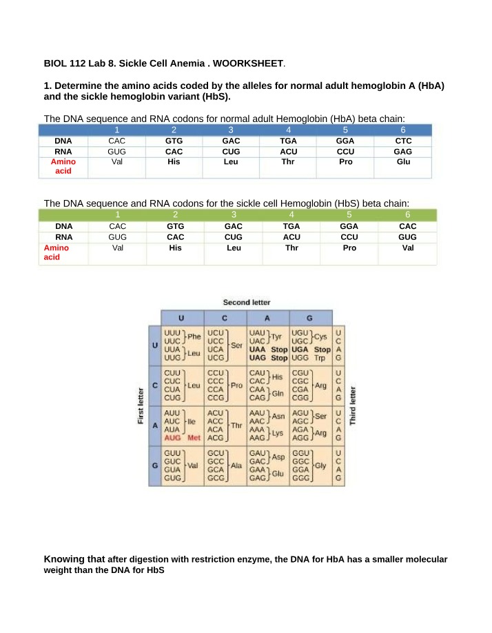 Worksheet on Sickle Cell Anemia
