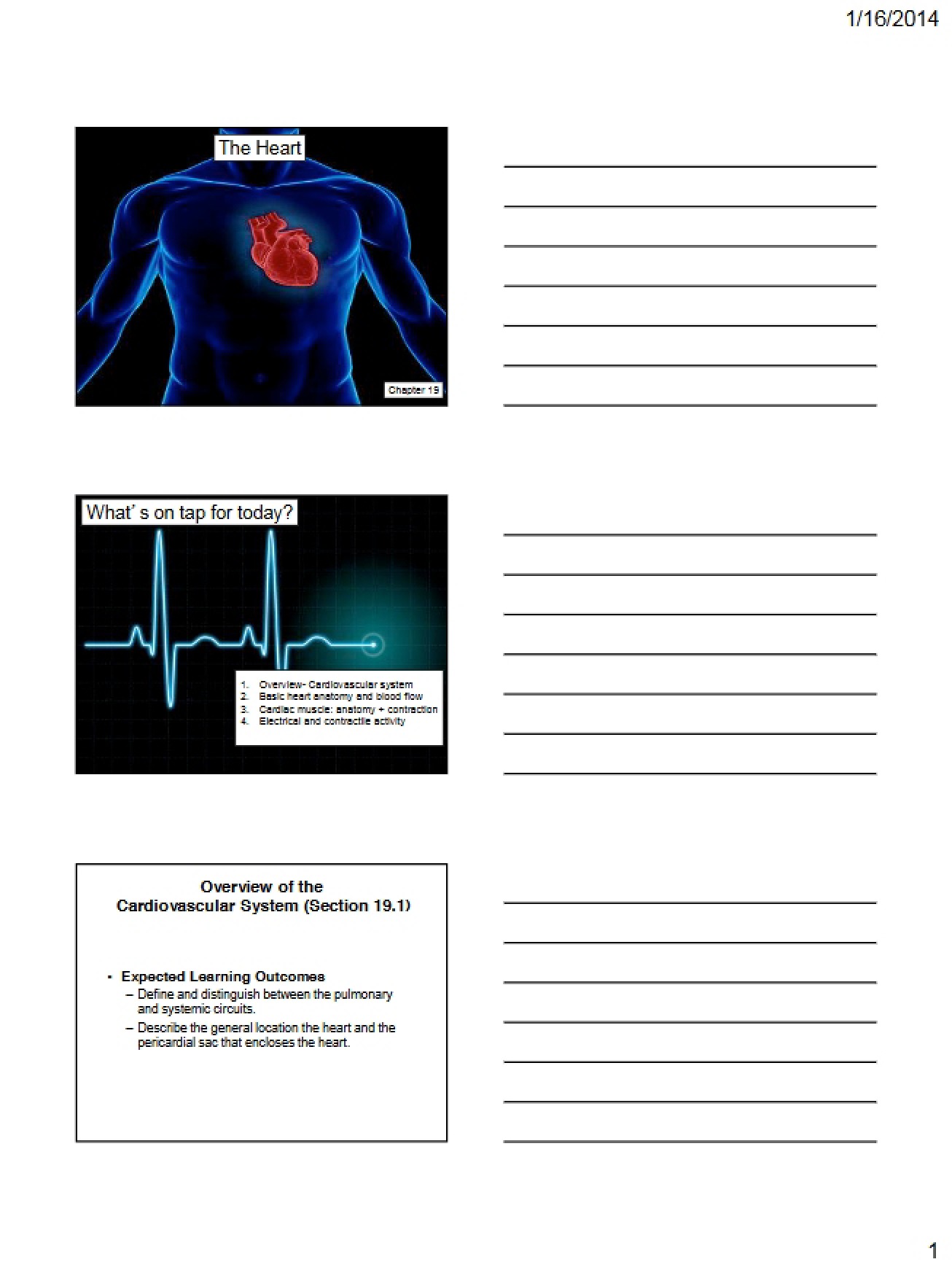 Handout Notes Chapter 19