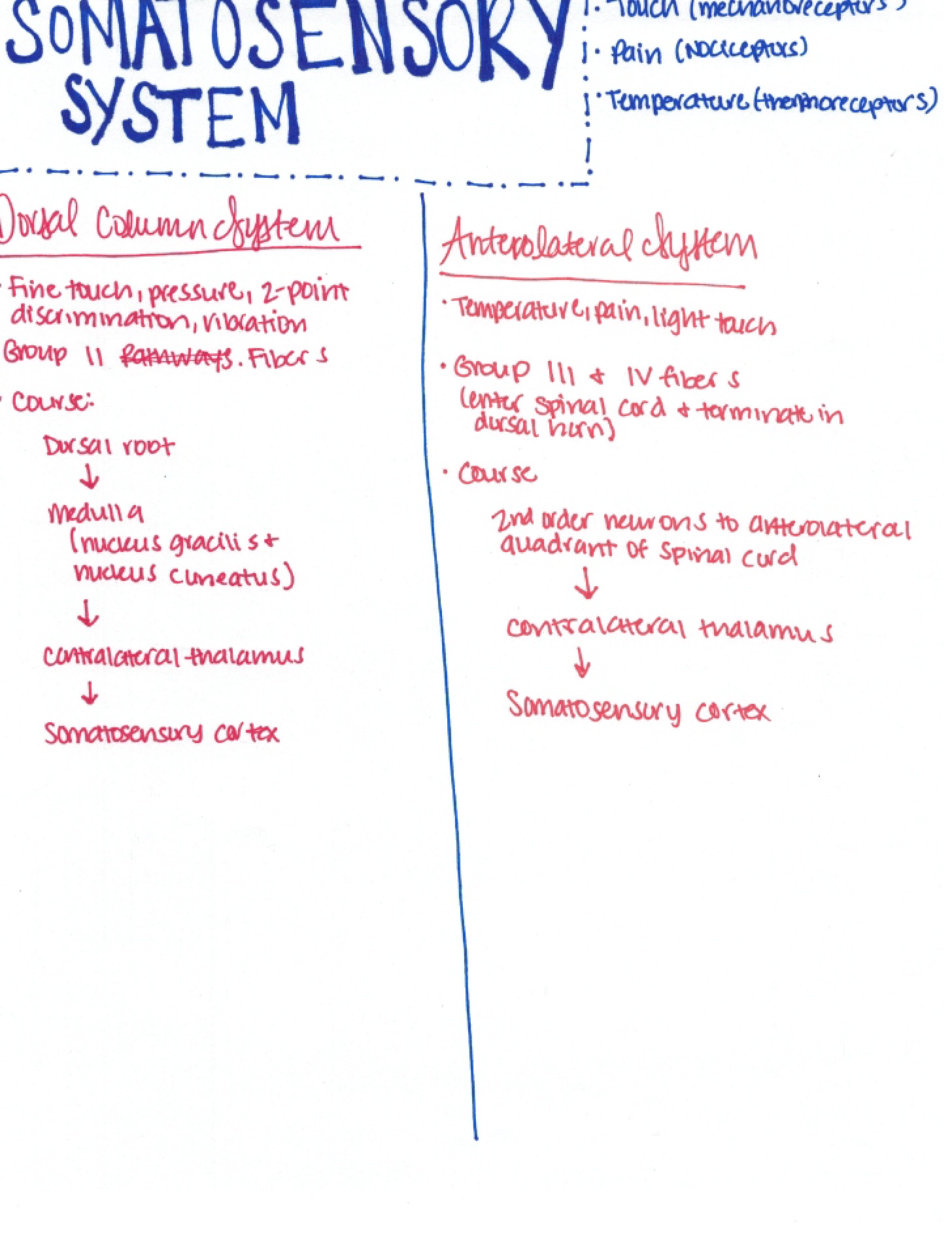 Course Notes