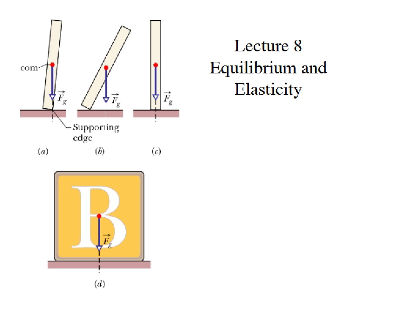 Lecture 08 Elasticity and Equilibrium - PHYS 631
