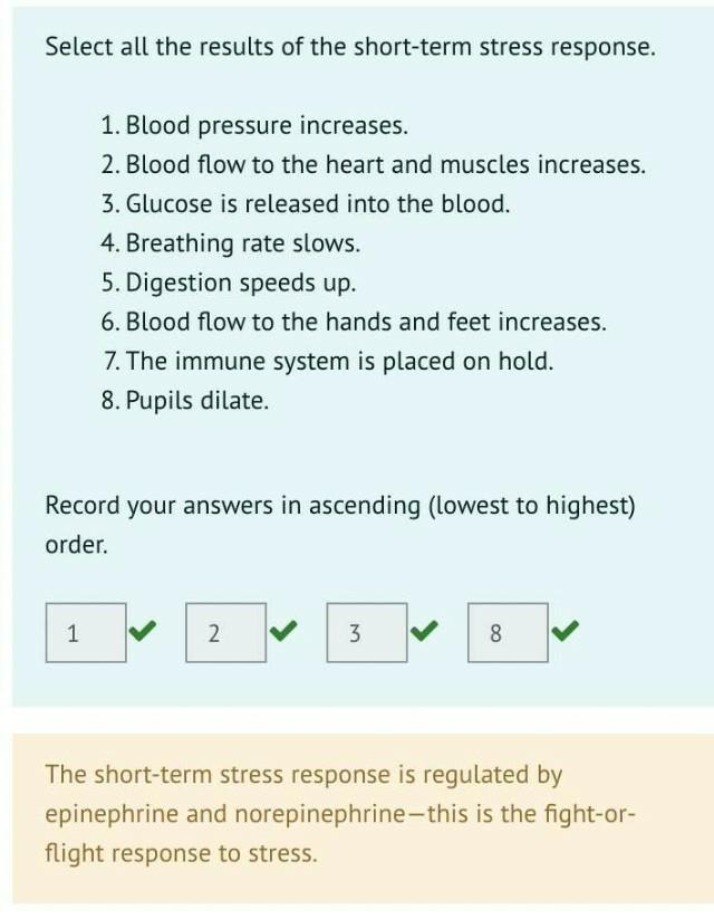 Short-Term Stress Effects on Blood Pressure and Blood Flow