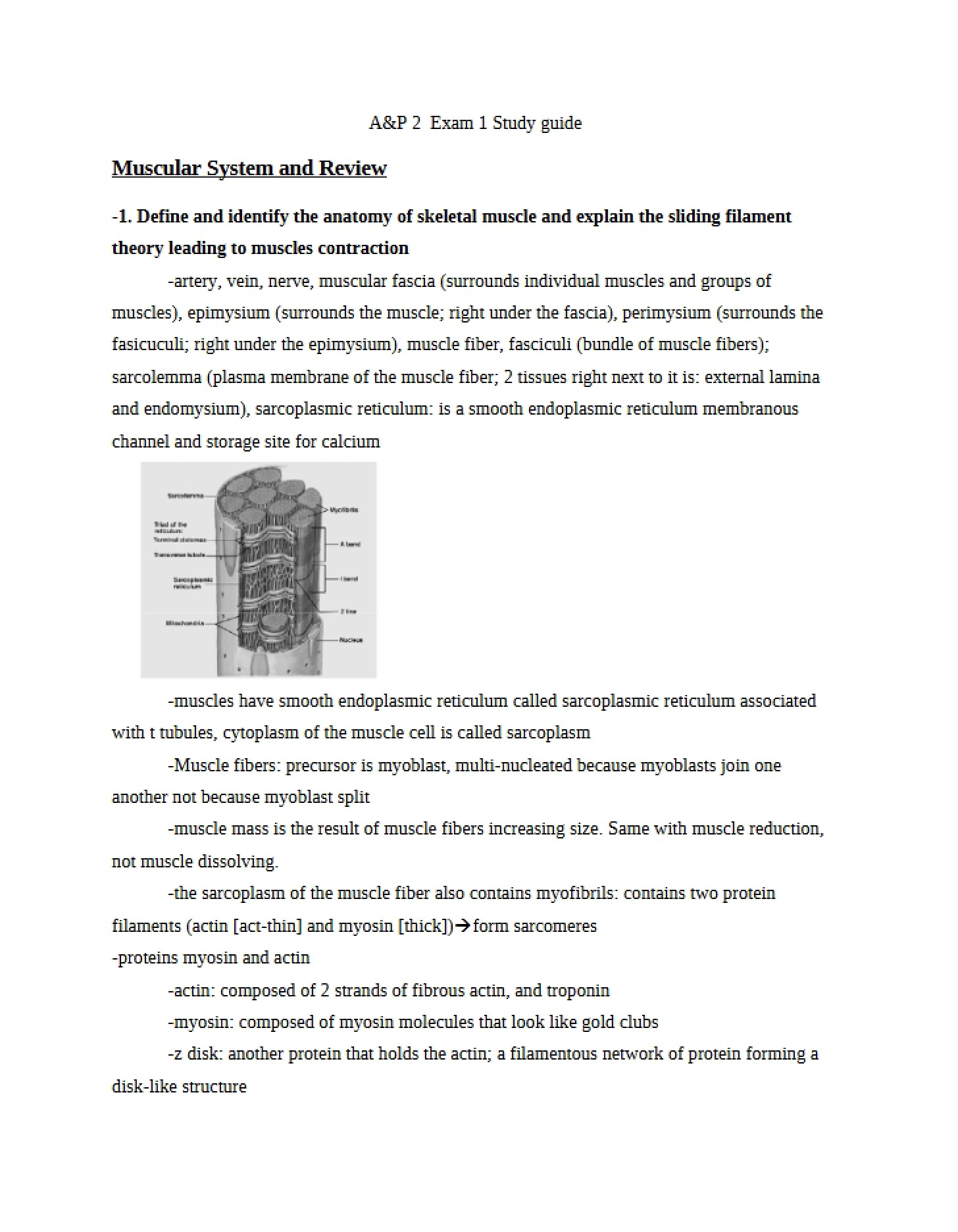 Guide for Studying Exam 1