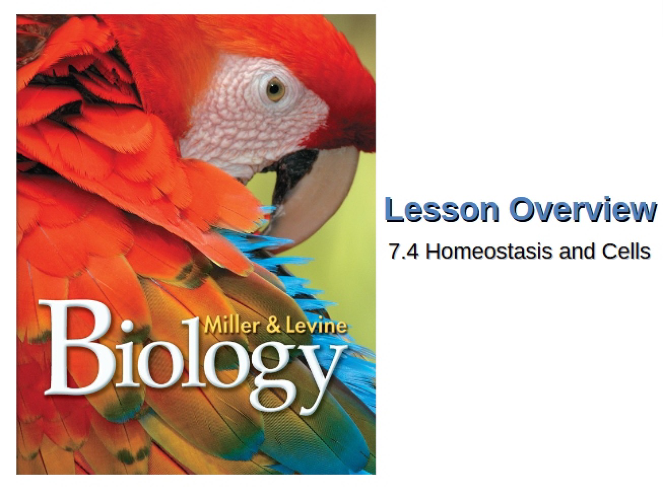Cells and Homeostasis
