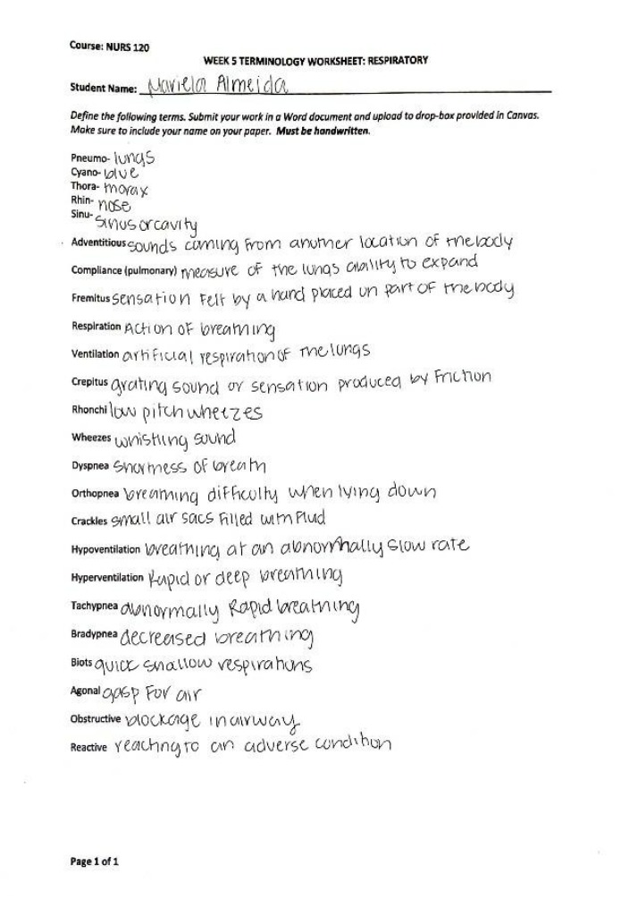 Worksheet on Respiratory Terminology