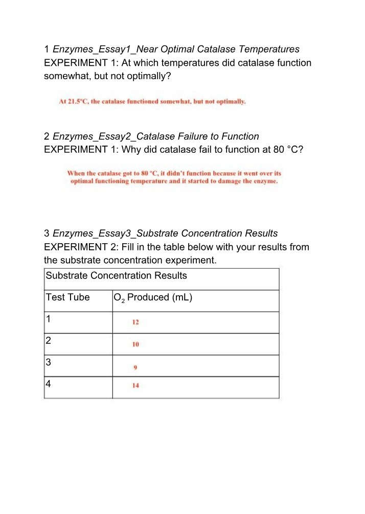 Enzymes Worksheet