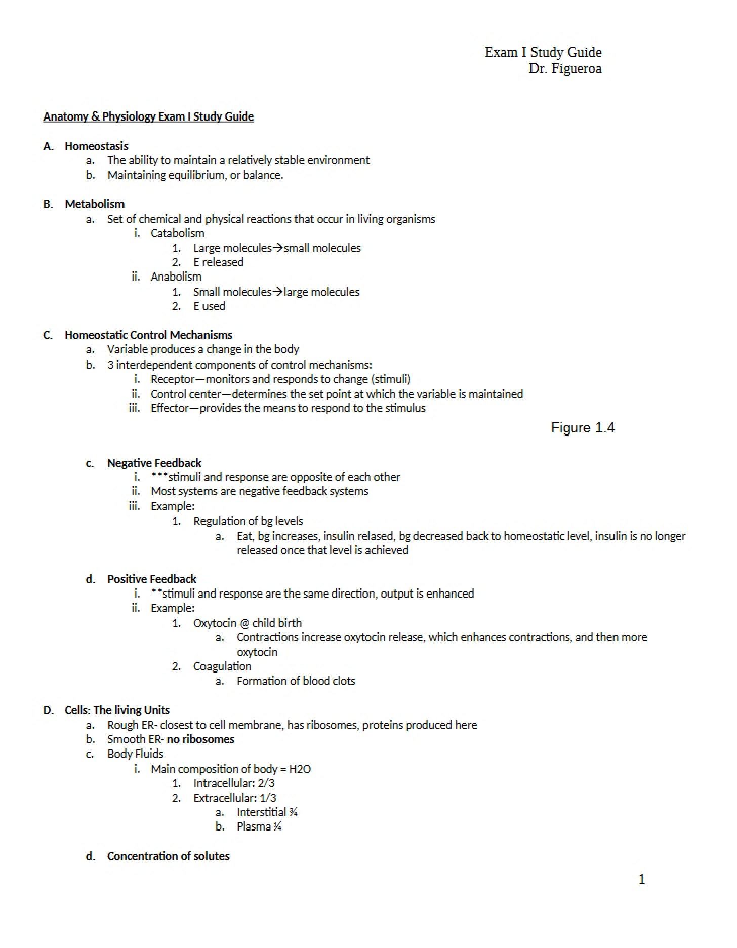 Anatomy & Physiology Materials