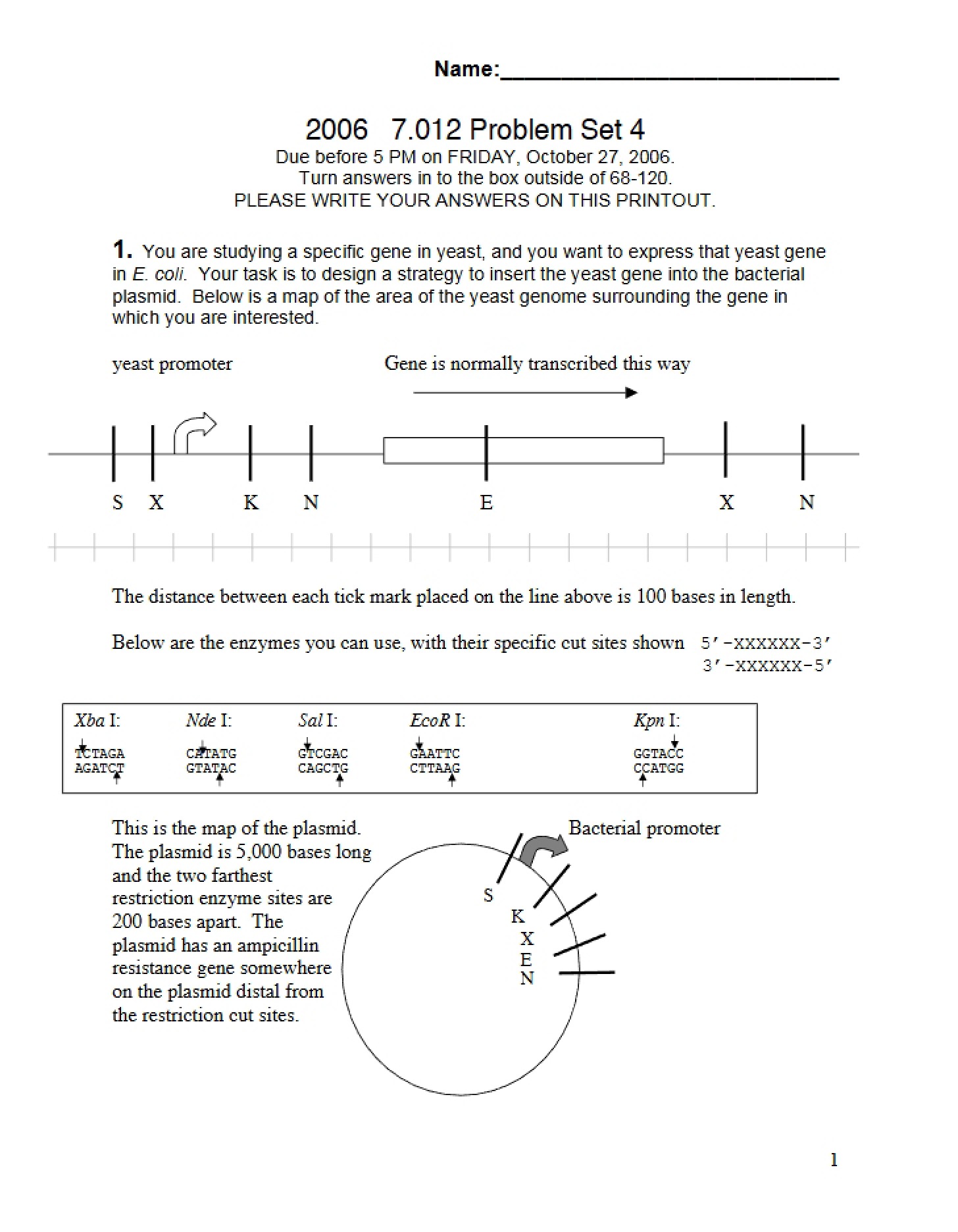 Fourth Problem Set