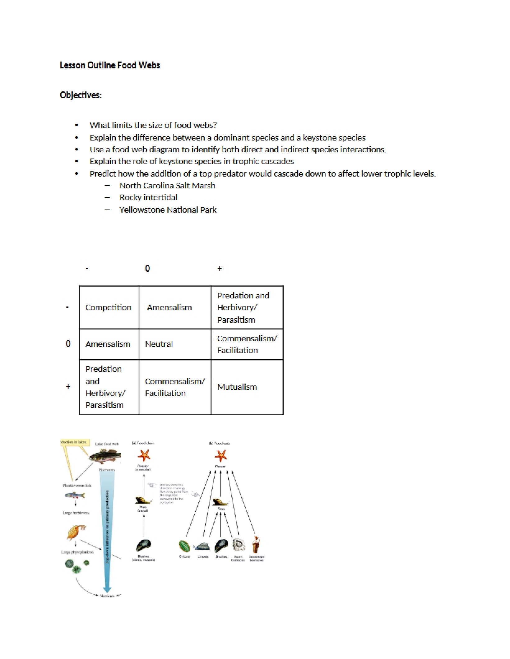 Food Webs Lesson Overview