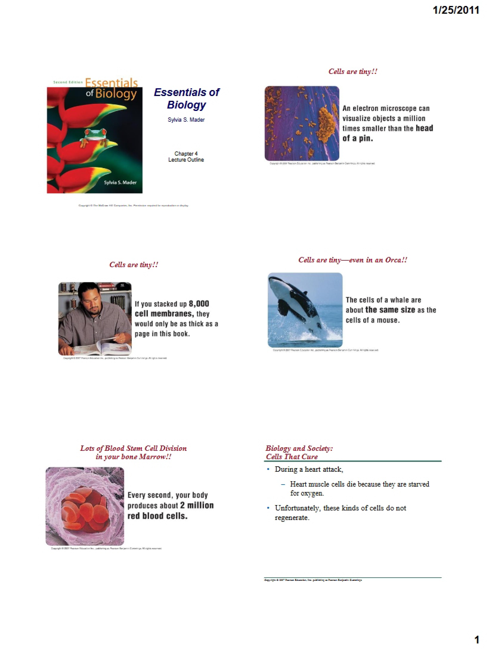 Basic Biology