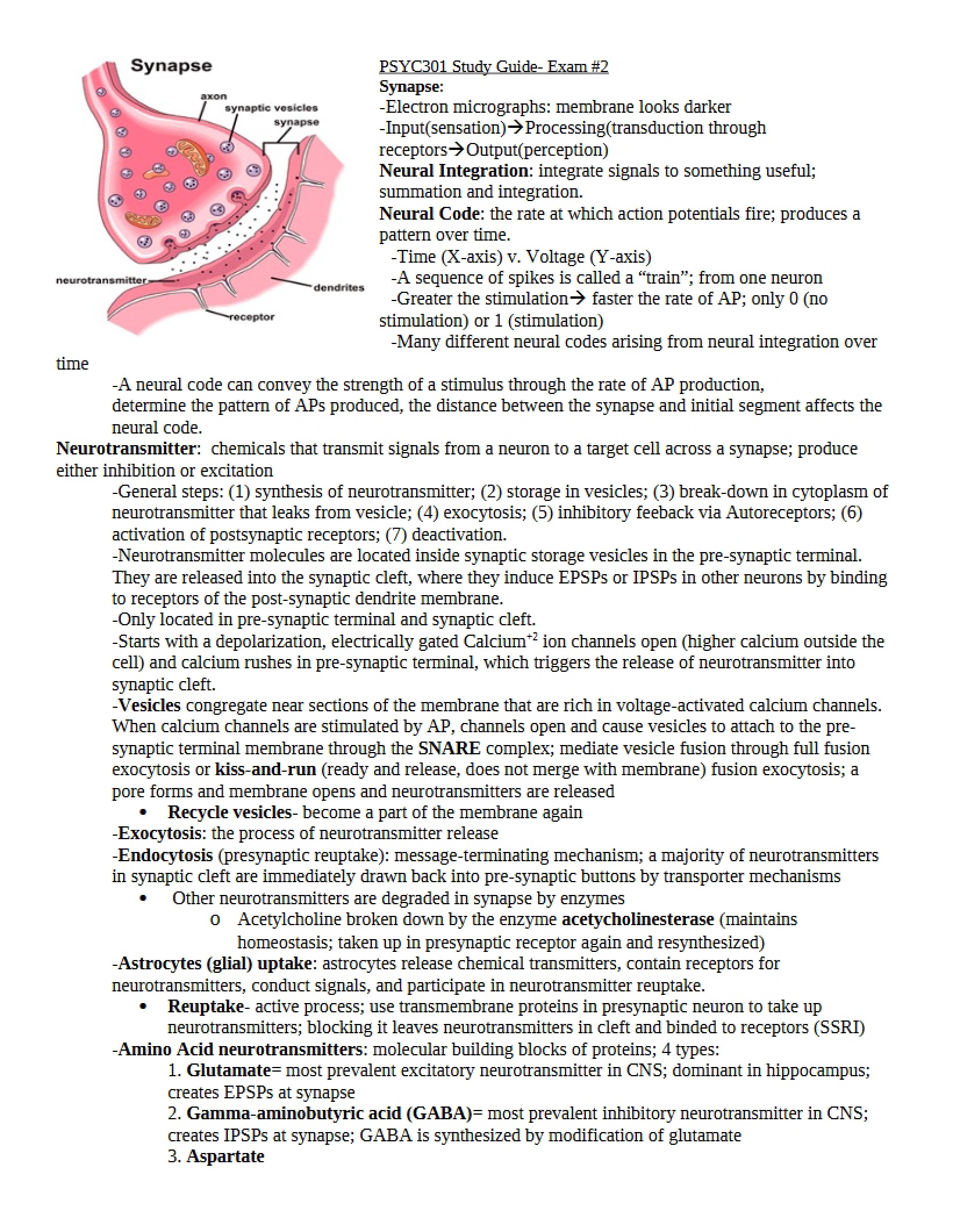 Review Guide for Exam 2