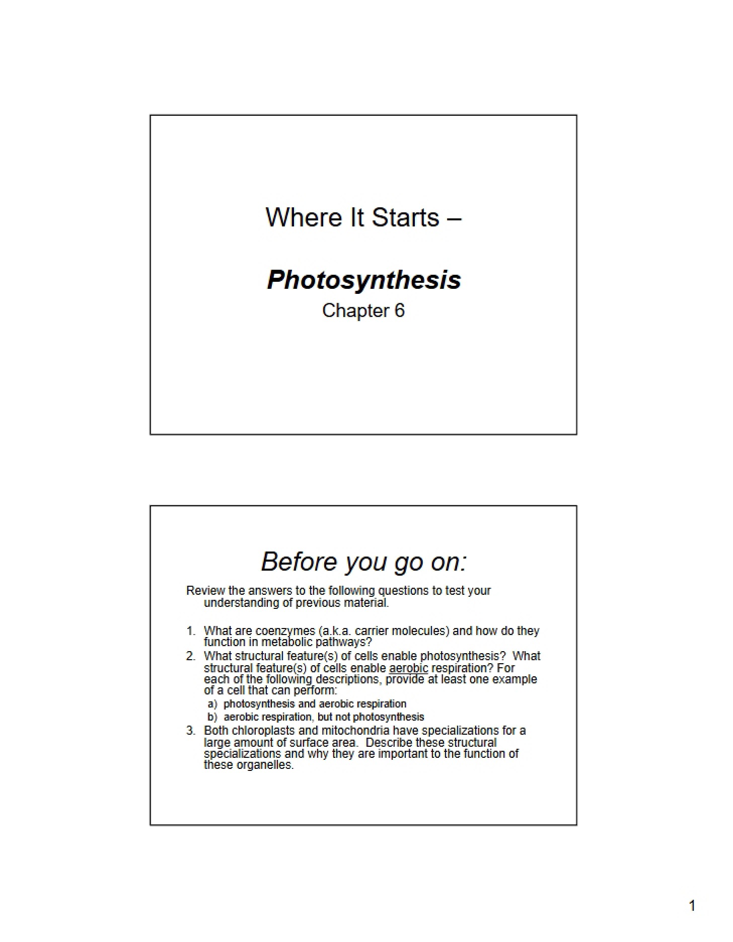 Photosynthesis Overview