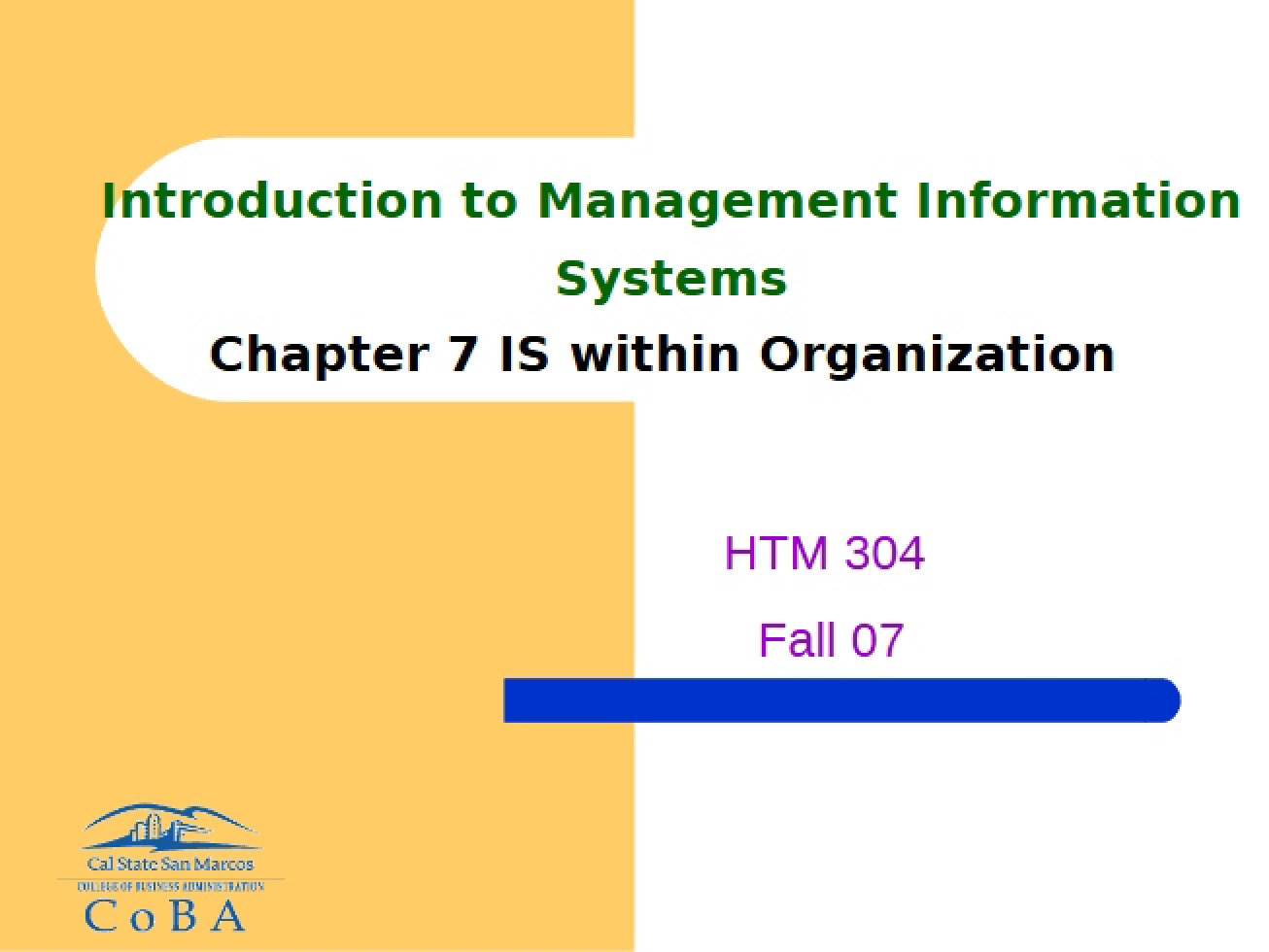 Information Systems Within the Organization (Chapter Seven)