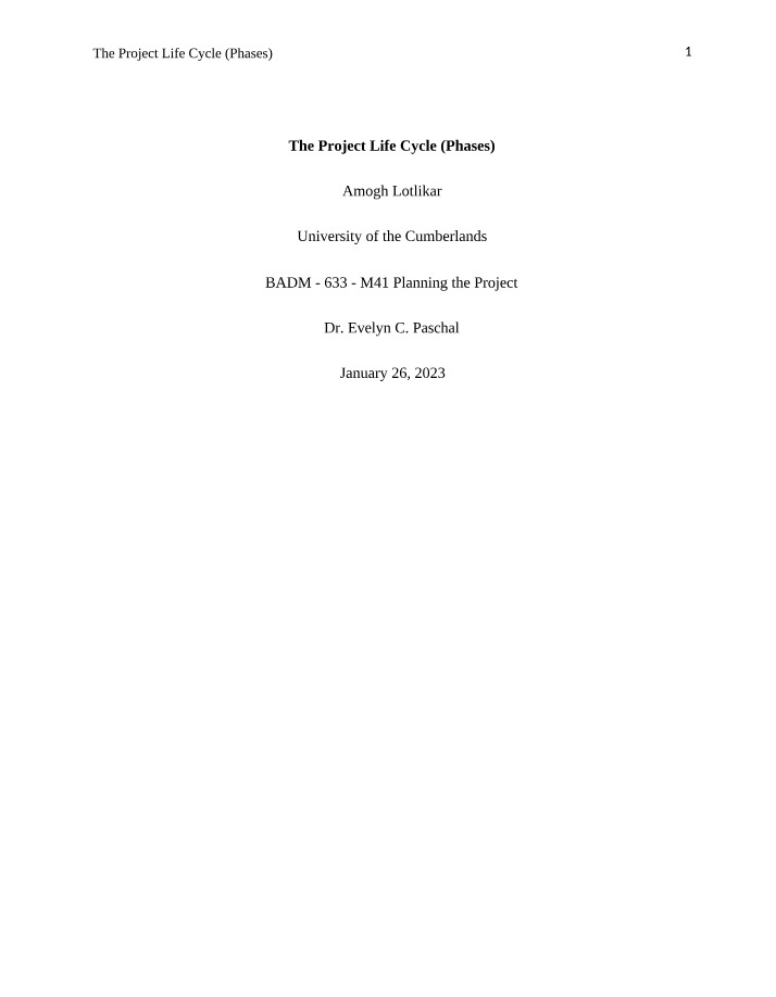 Project Life Cycle Phases