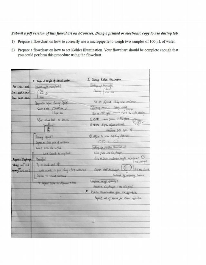 Flowchart - How to Use a Micropipette for Weighing Water Samples