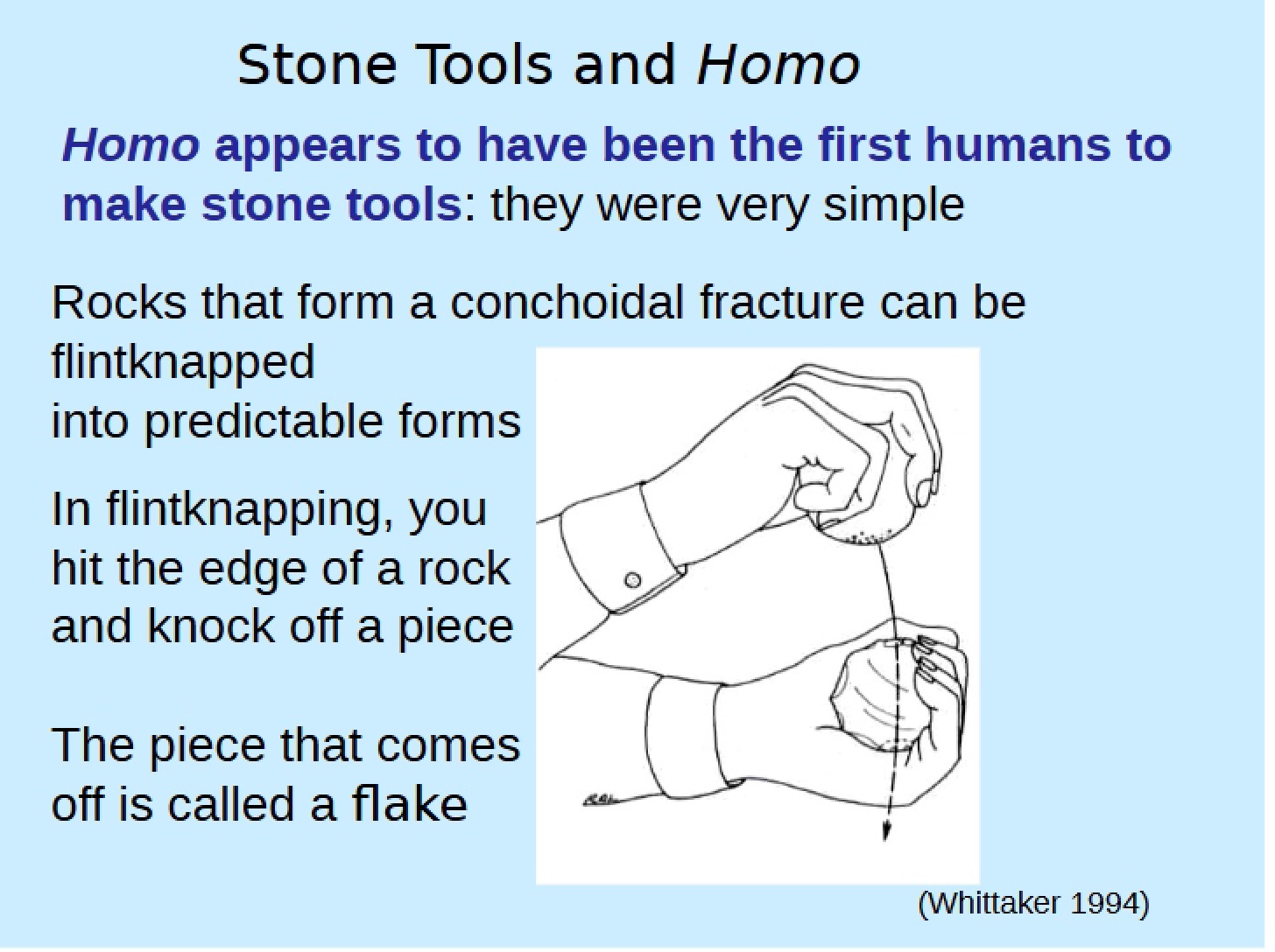 2013 Homo Stone Tools