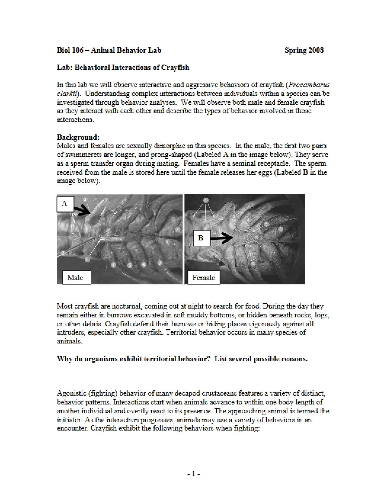 Lab on Animal Behavior