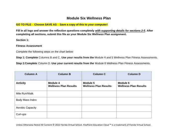 Wellness Plan - Module 6