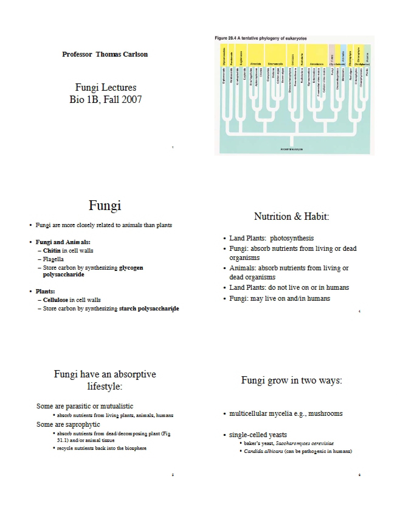 Fungi Course Material