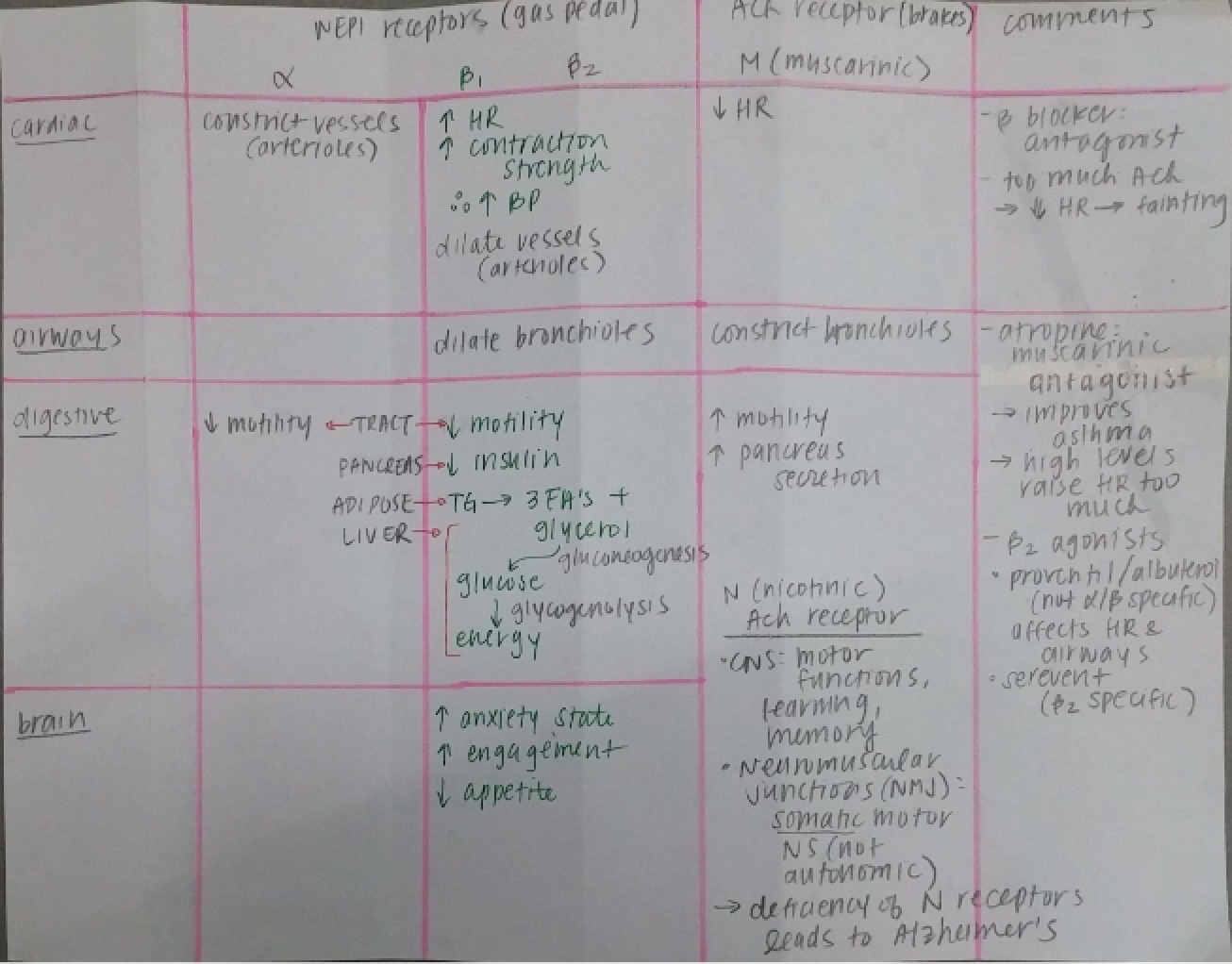 Second Set of Notes for Systems Physiology