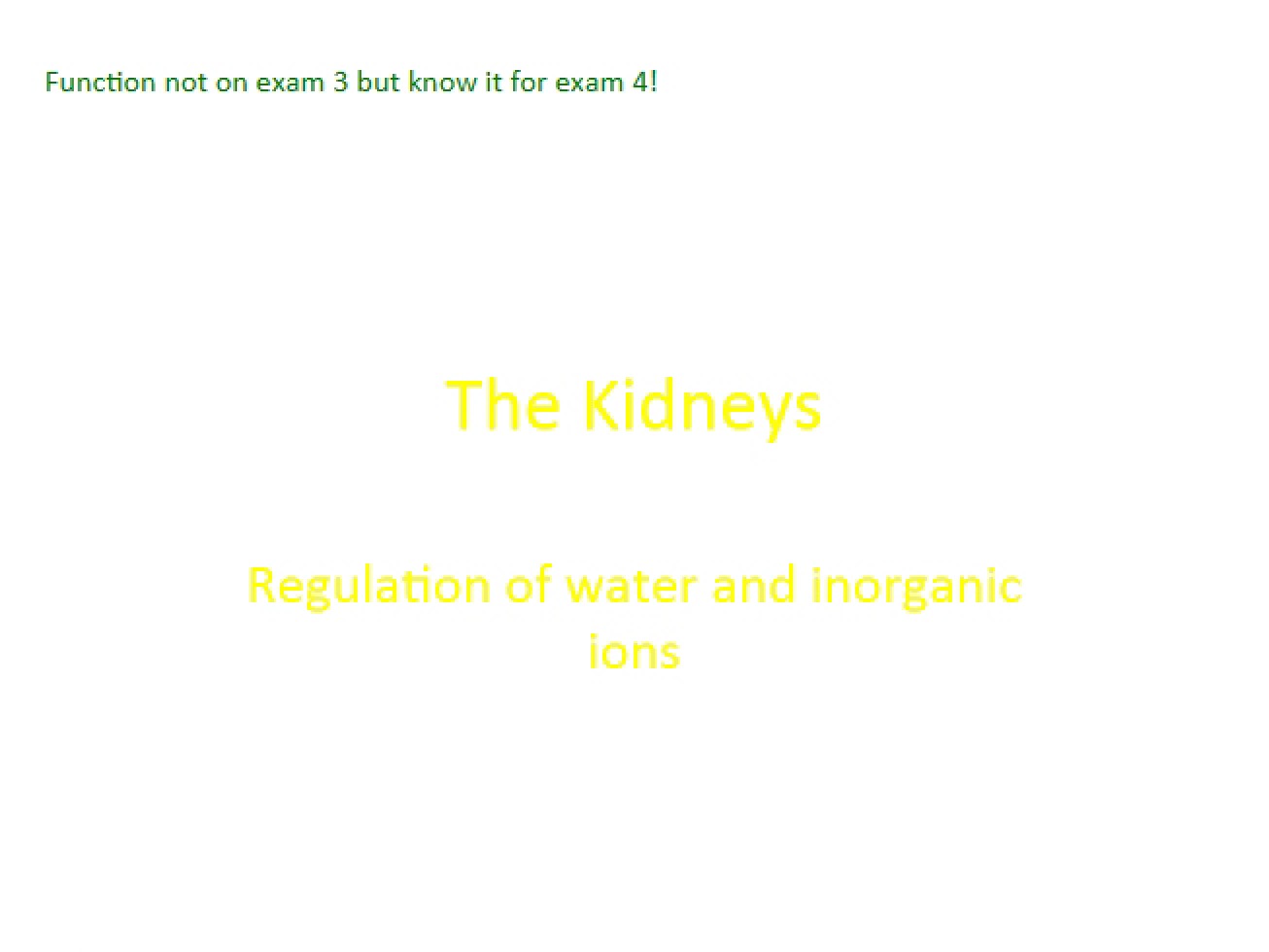 Renal System