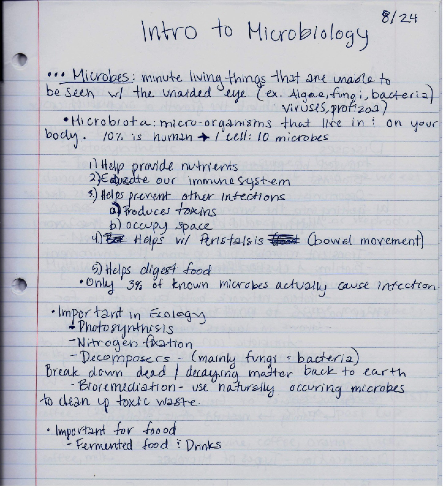 Class Notes