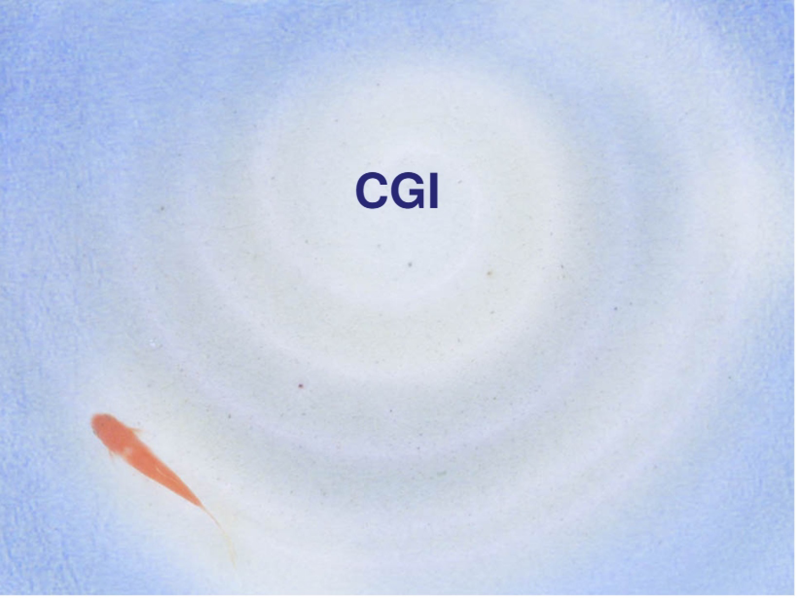 Programming with CGI
