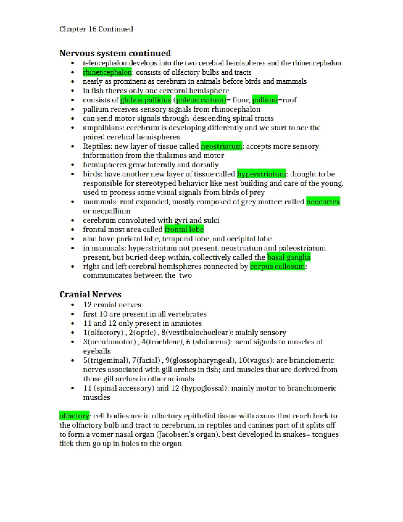 Comparative Anatomy Chapter 16