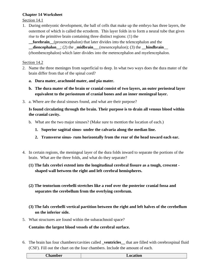 Embryonic Development - Brain Regions and Worksheet Answers